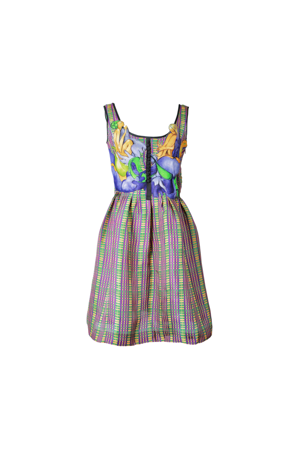S/s 2008 Plaid Dress with Graphic Print Bodice